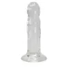Adrien Lastic Alive Gallant - Clear