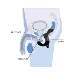 Fun Factory Duke Prostate Vibrator