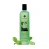 Shunga Bath and Shower Gel - Mint
