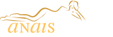 Anais Apparel logo
