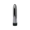 5 inch Silver Multi-Speed Vibrator