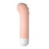 Lilo, We Love Bullet Vibrator