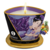 Shunga Massage Candle - Exotic Fruits (Libido)