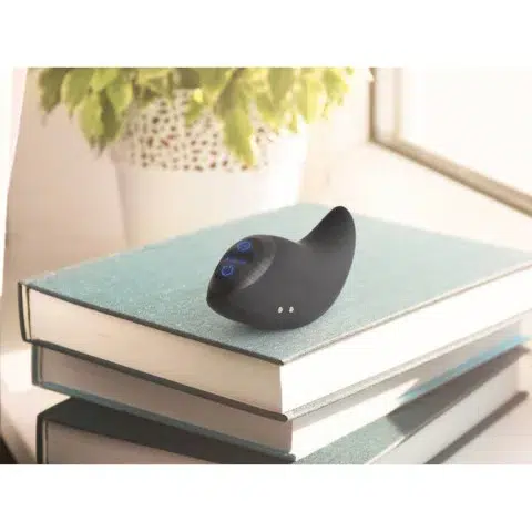BSwish Bcurious Premium Vibrator - Black