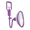 Pipedream Fantasy For Her Pleasure Pump